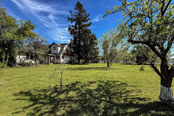 a view of a trees with a yard