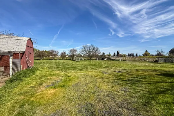 a view of a yard with plants and large trees