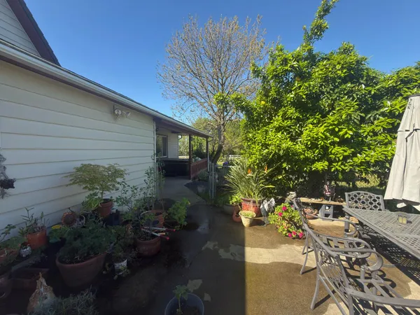 a view of a backyard with plants and a patio