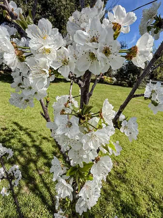 $825,000 | 2191 Archer Avenue, Live Oak, CA 95953