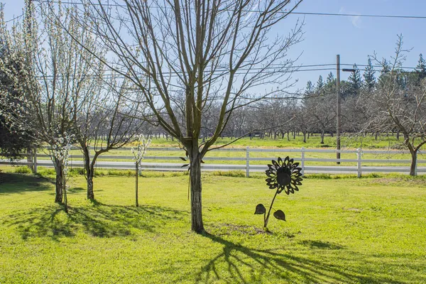 a view of a yard with a slide