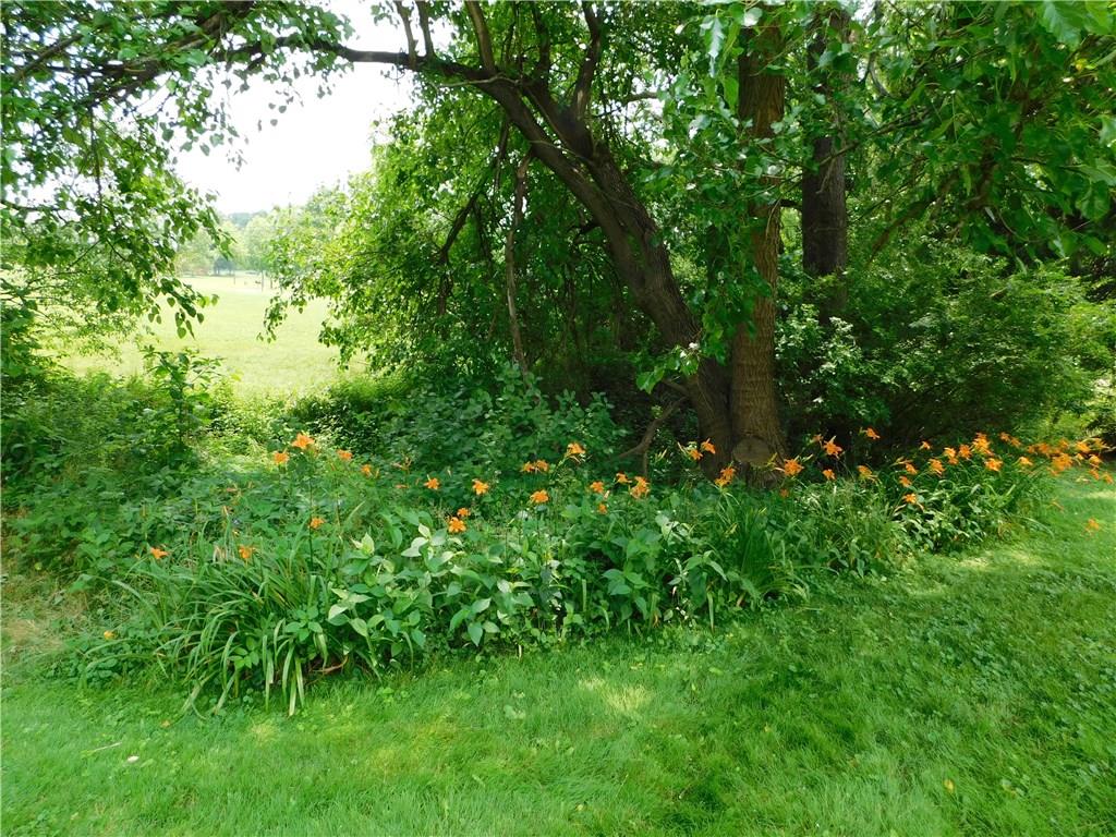 1624 Keystone Park Road New Alexandria, PA 15670 - Photo 13 of 15 Over 3 gorgeous acres!