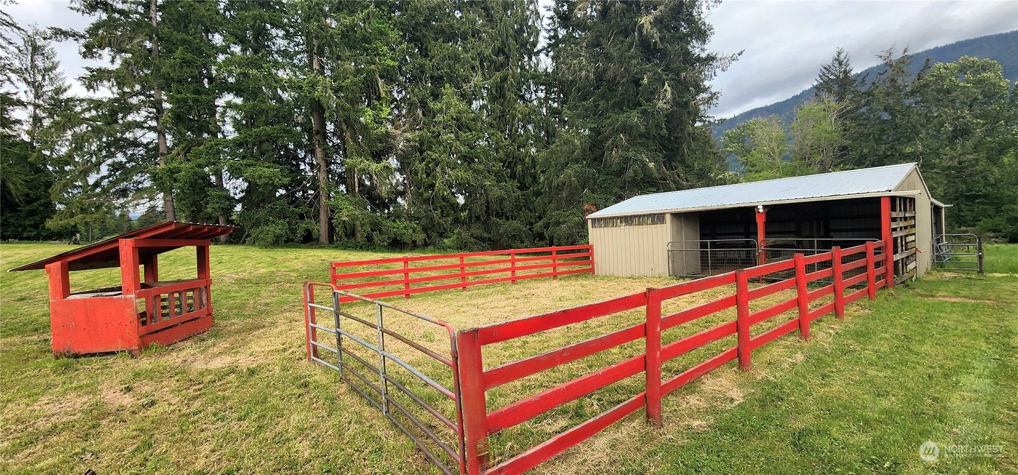 1011 Peters Road, Unit 55 Randle, WA 98377 - Photo 6 of 40 Gallery Image 6