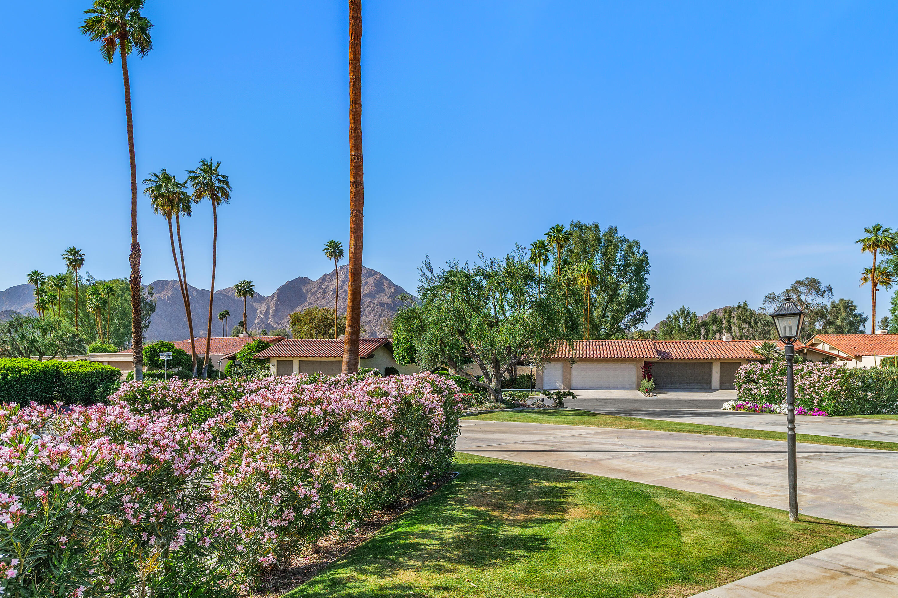 49835 Adelito Circle La Quinta, CA 92253 - Photo 27 of 36 a view of a garden with a building in the background