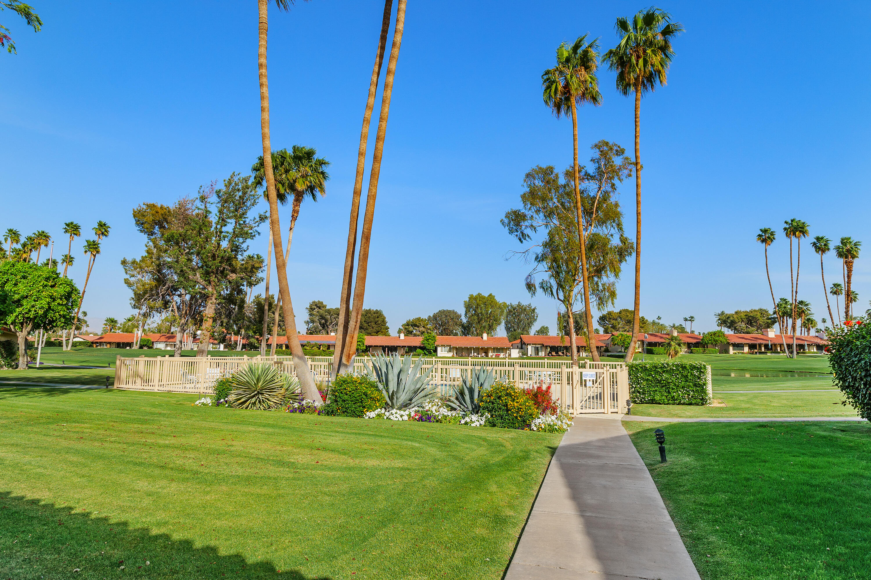 49835 Adelito Circle La Quinta, CA 92253 - Photo 33 of 36 a view of a garden with a building in the background
