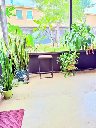 a potted plant sitting in front of a building