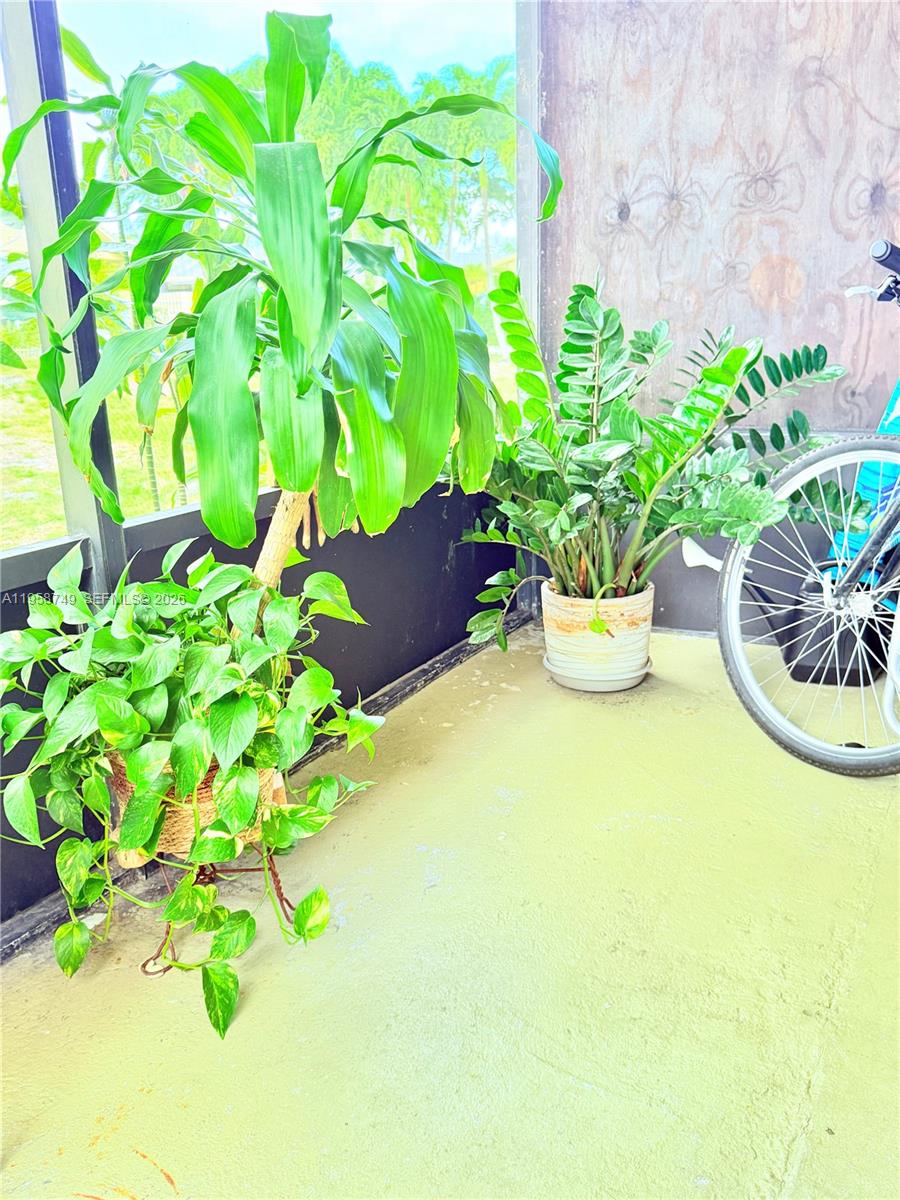 3370 Beau Rivage Drive, Unit 4Q Pompano Beach, FL 33064 - Photo 22 of 31 a potted plant sitting in a garden with a chair