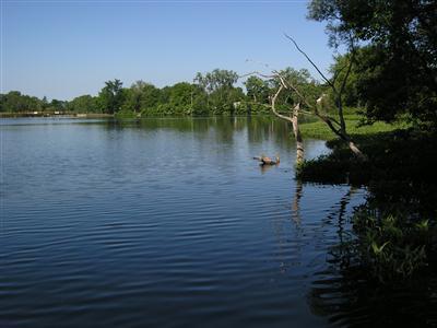 2 2nd Avenue Three Rivers, MI 49093 - Photo 1 of 2 Primary Photo