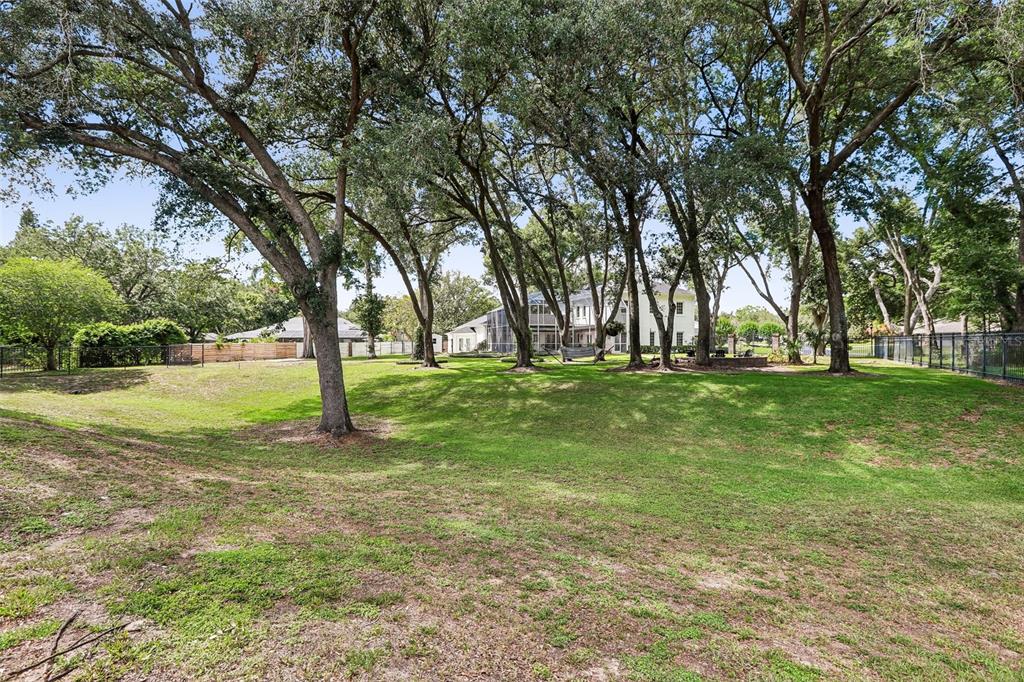 1012 Morfield Lane Brandon, FL 33511 - Photo 79 of 100 a view of a tree in a park
