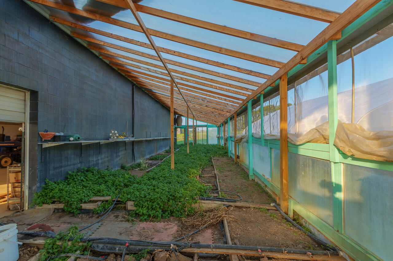4744 Bryan Station Road Lexington, KY 40516 - Photo 56 of 67 Green House