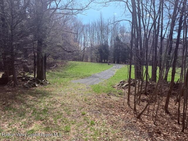 0 Van Etten Road Prattsville, NY 12468 - Photo 27 of 34 IMG_3172