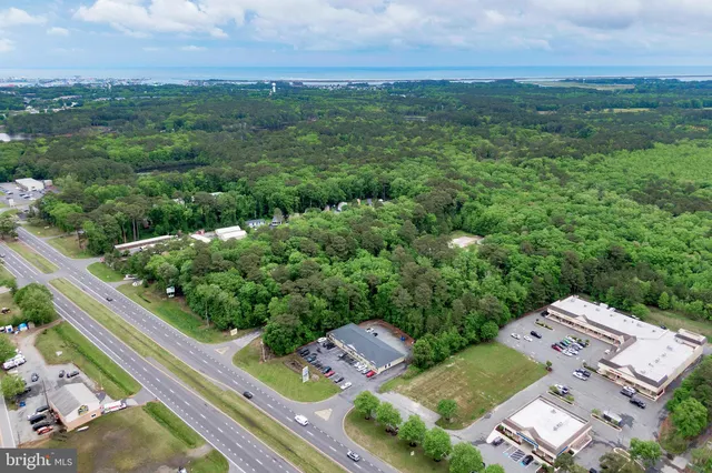 an aerial view of residential houses with outdoor space and trees
