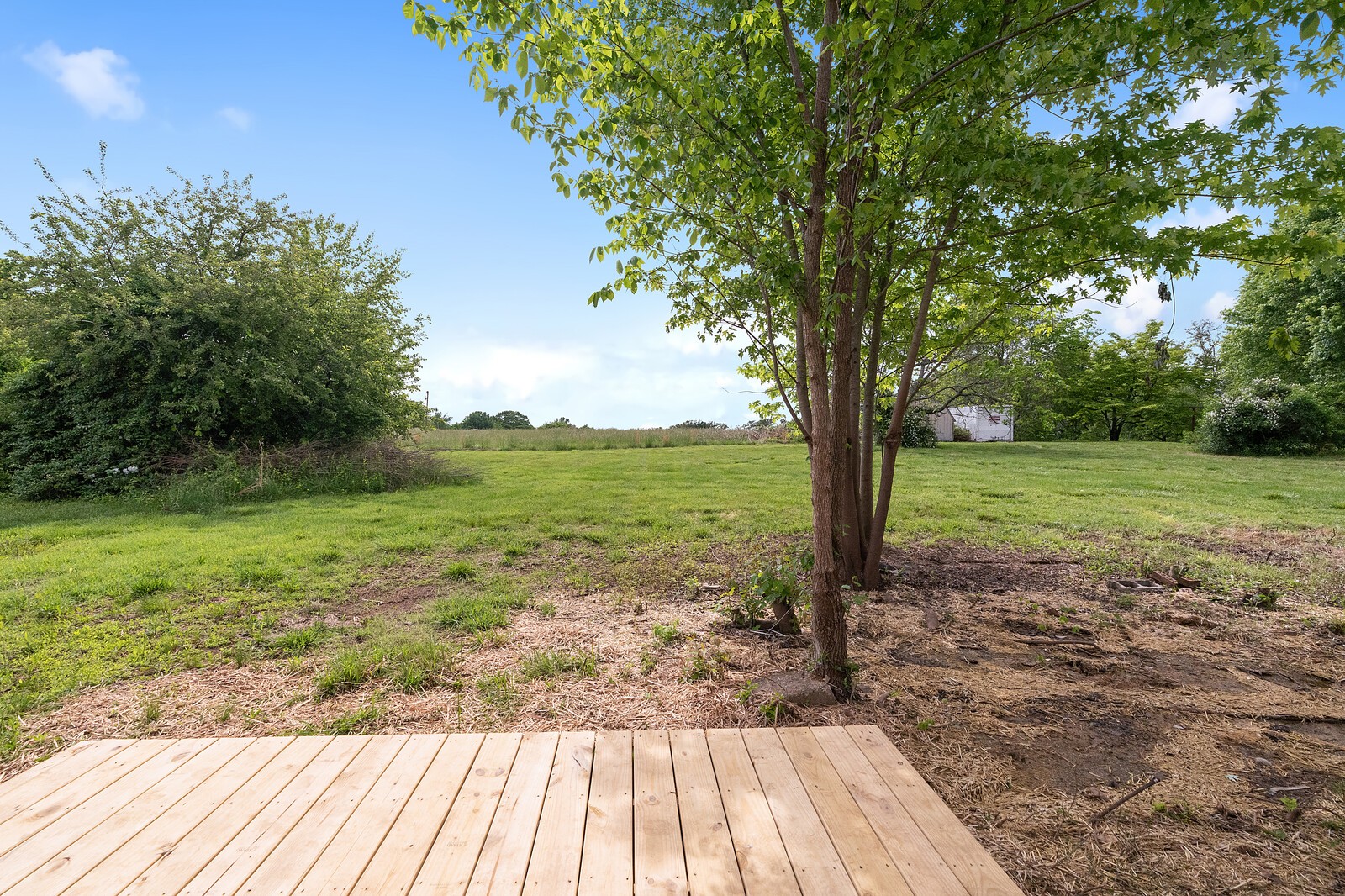 5662 Highway 161 Springfield, TN 37172 - Photo 8 of 24 Gallery Image 8