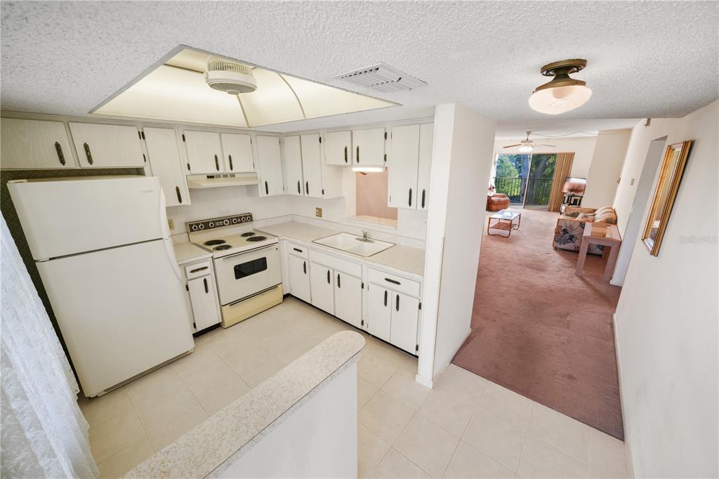 1450 Heather Ridge Boulevard, Unit 307 Dunedin, FL 34698 - Photo 3 of 16