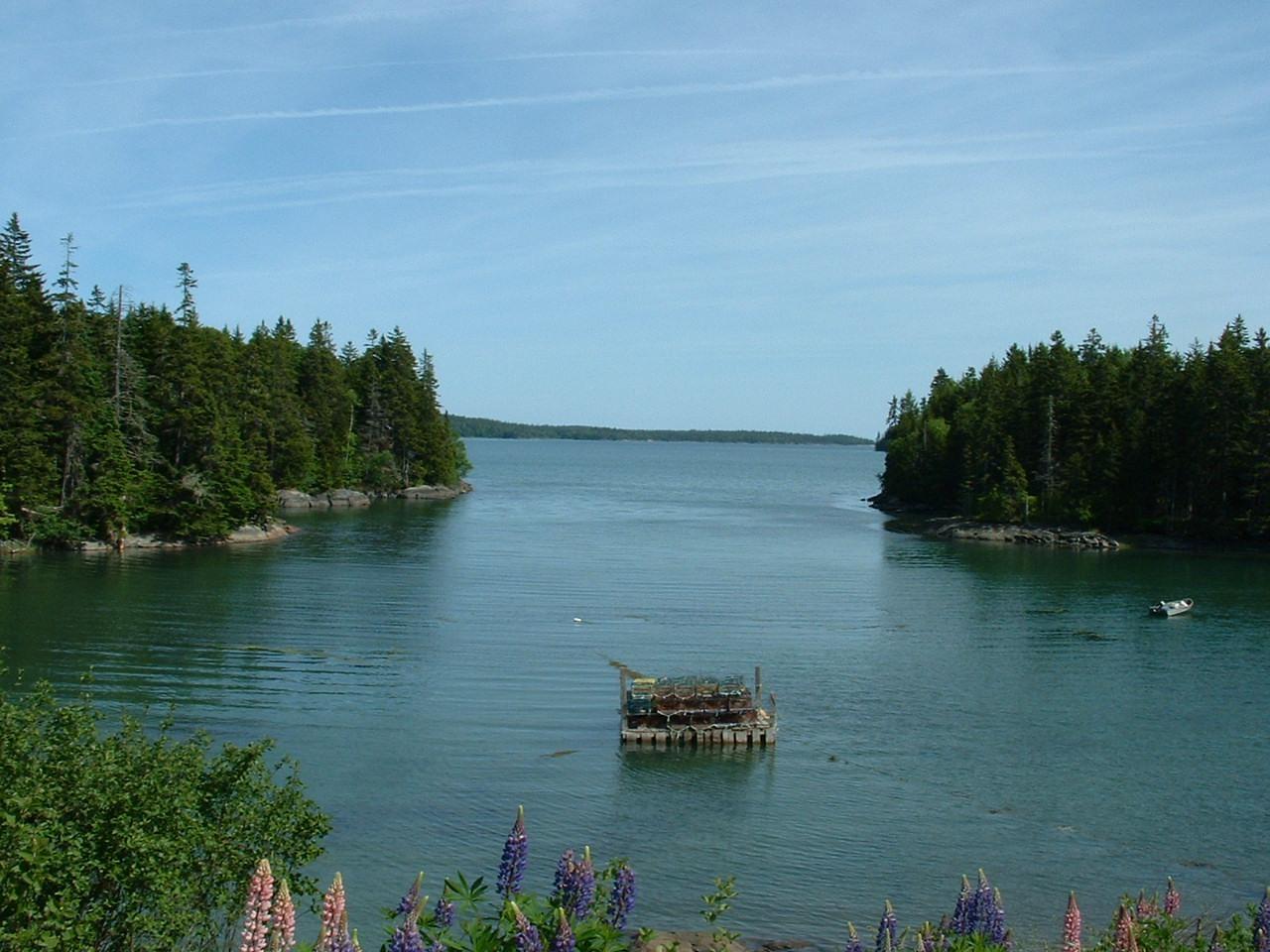 Lot 95 North Duck Cove Road Roque Bluffs, ME 04654 - Photo 20 of 23