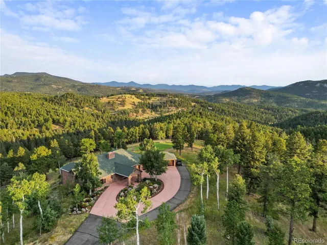a view of a city with lush green forest