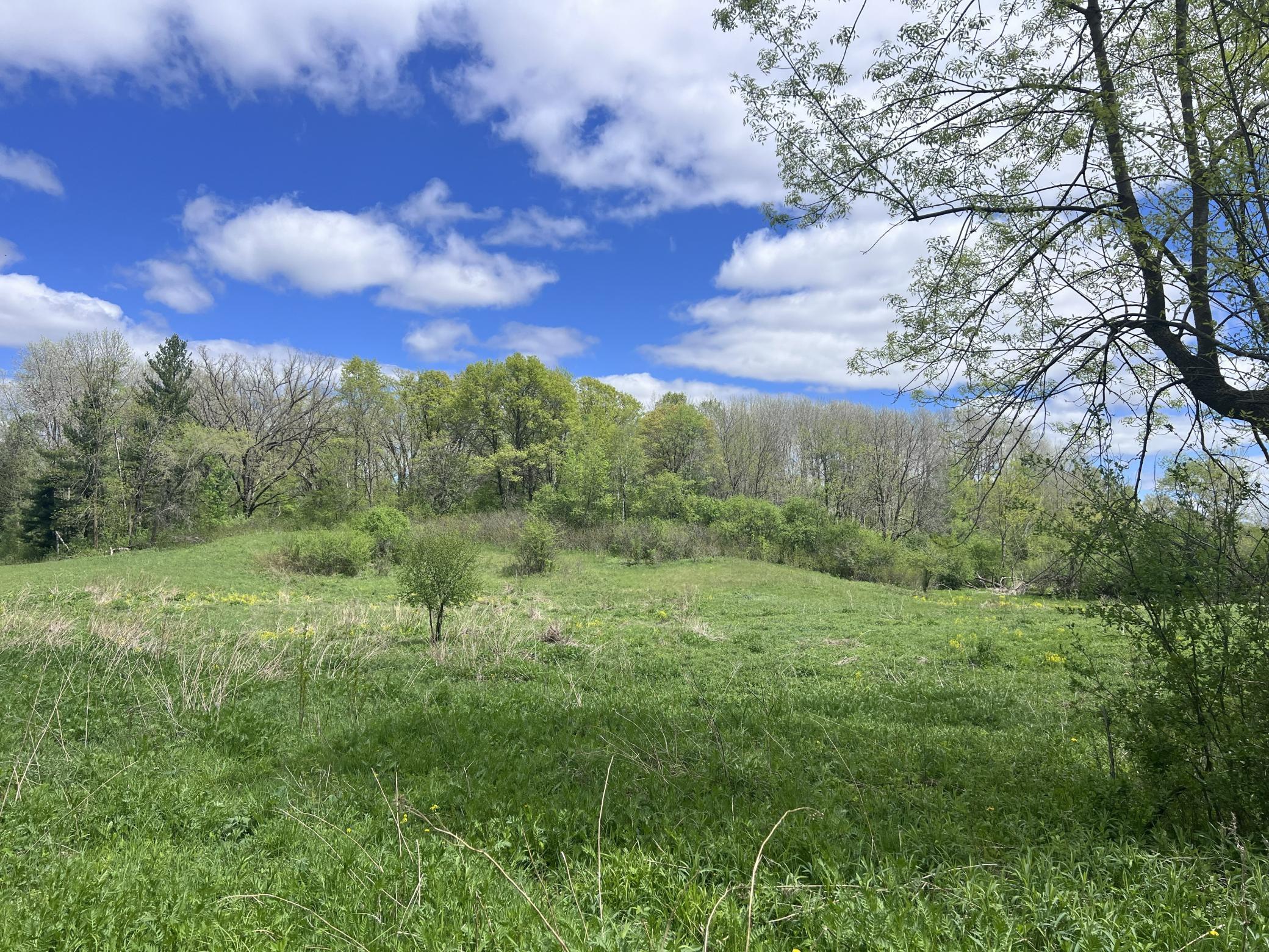 Tbd Tbd County Line Avenue Clear Lake, WI 54005 - Photo 4 of 11