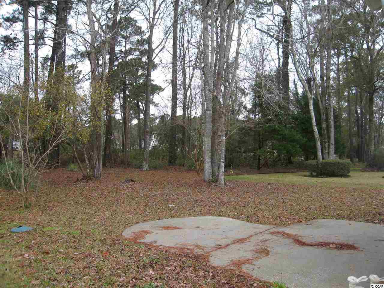 1281 Merion Court Murrells Inlet, SC 29576 - Photo 28 of 28 Gallery Image 28