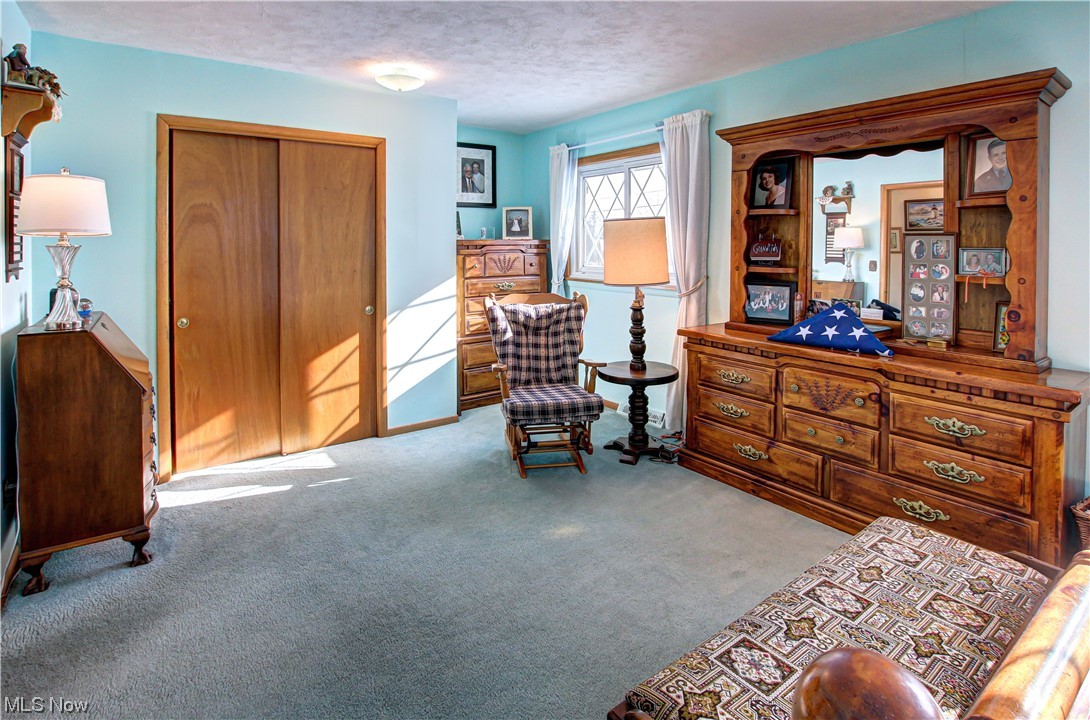 3711 Ruth Drive Brunswick, OH 44212 - Photo 15 of 35 Sitting room with light colored carpet and a textured ceiling