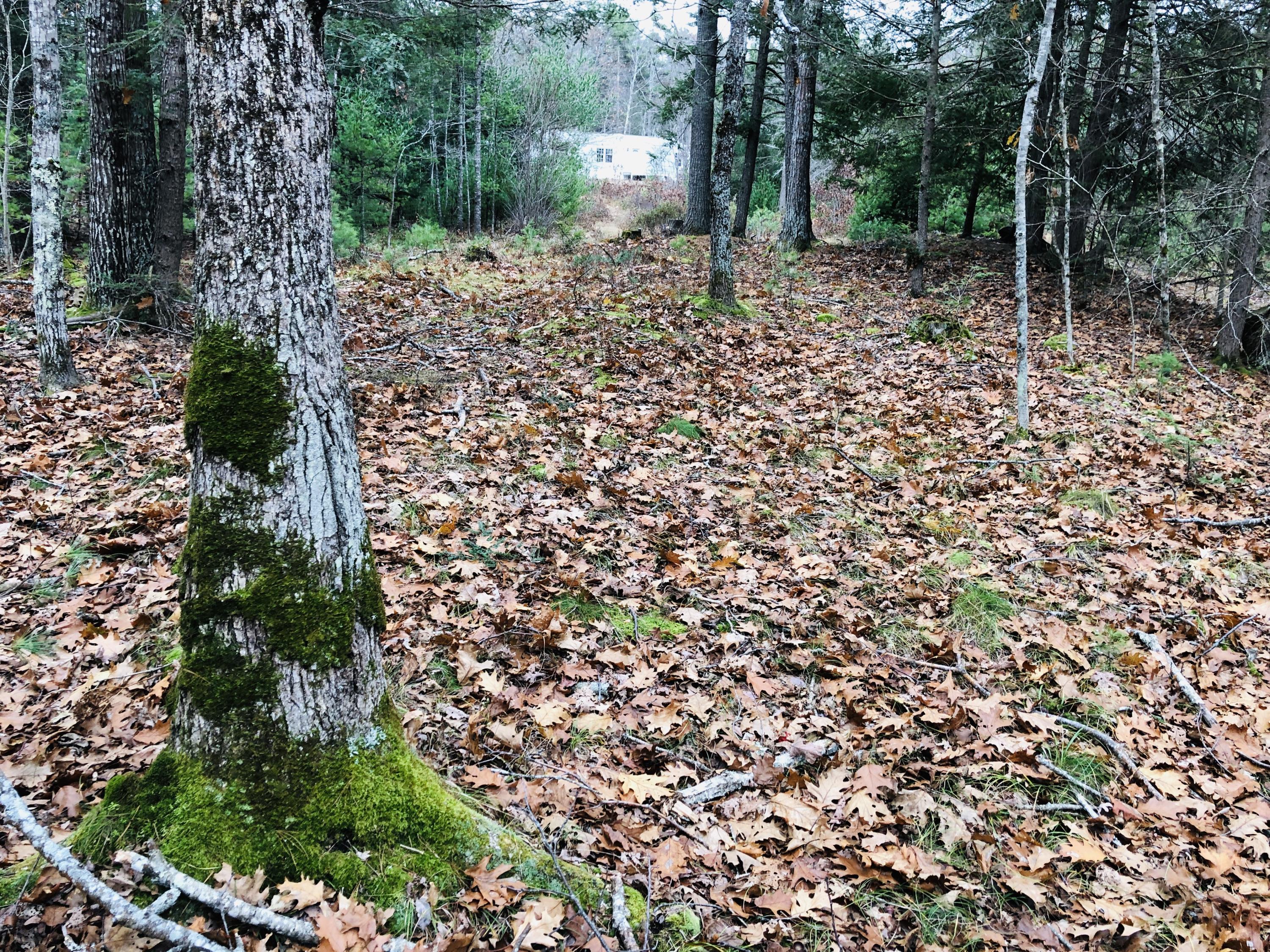 240 Fiddlers Reach Road Phippsburg, ME 04562 - Photo 12 of 13 fullsizeoutput_97e3
