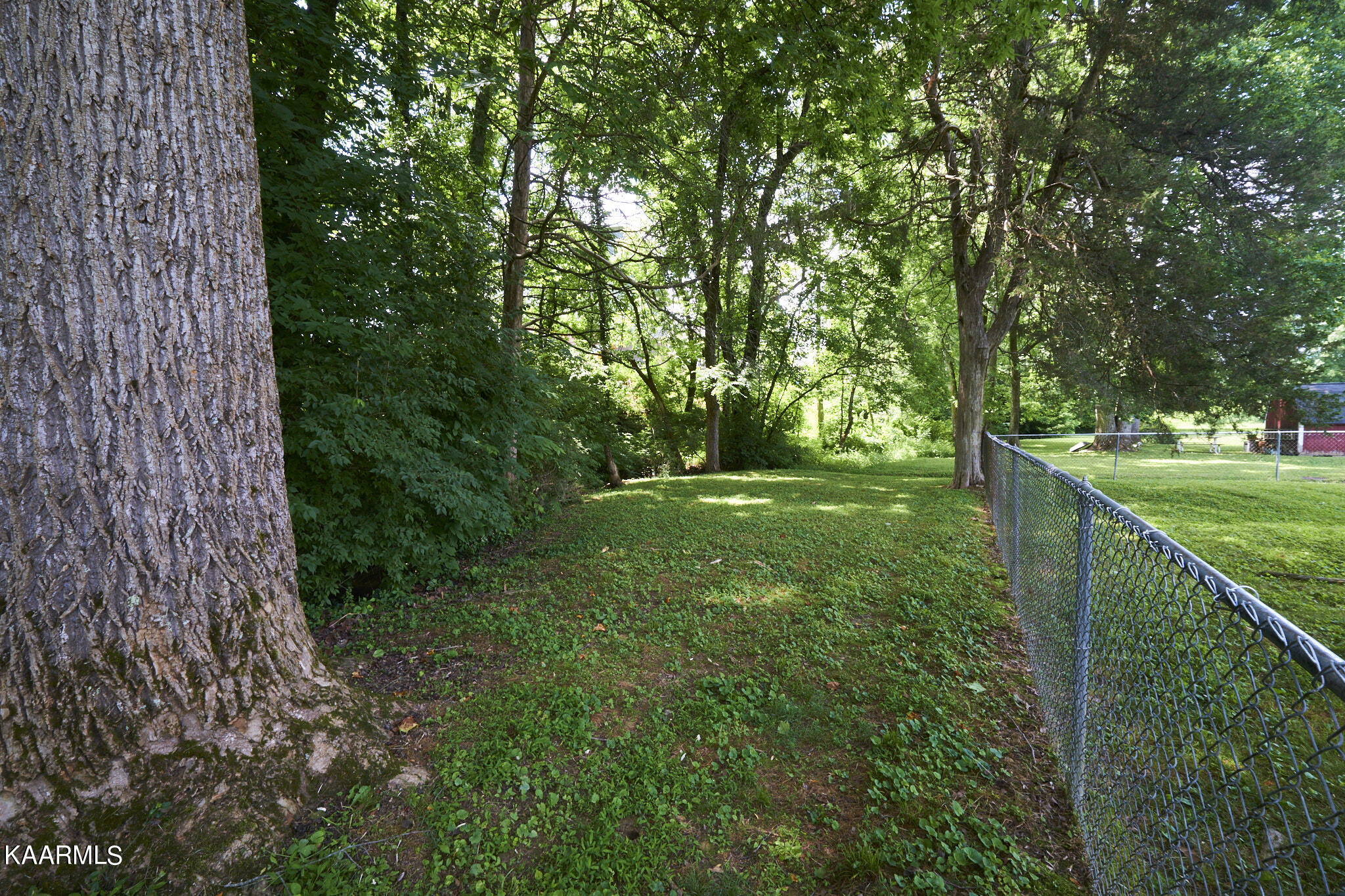 7119 Spurlin Road Knoxville, TN 37918 - Photo 21 of 36 Backyard