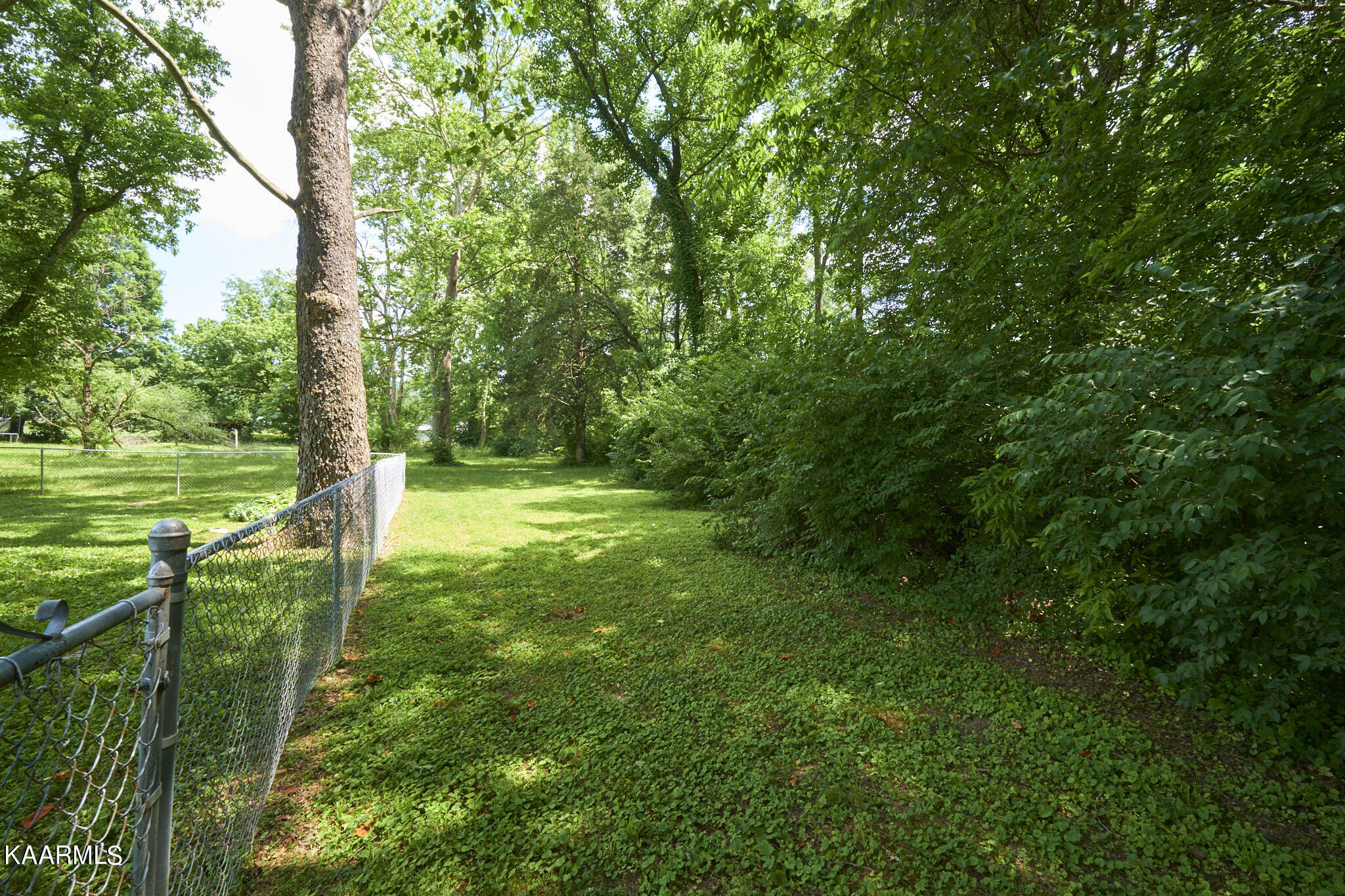 7119 Spurlin Road Knoxville, TN 37918 - Photo 22 of 36 Backyard