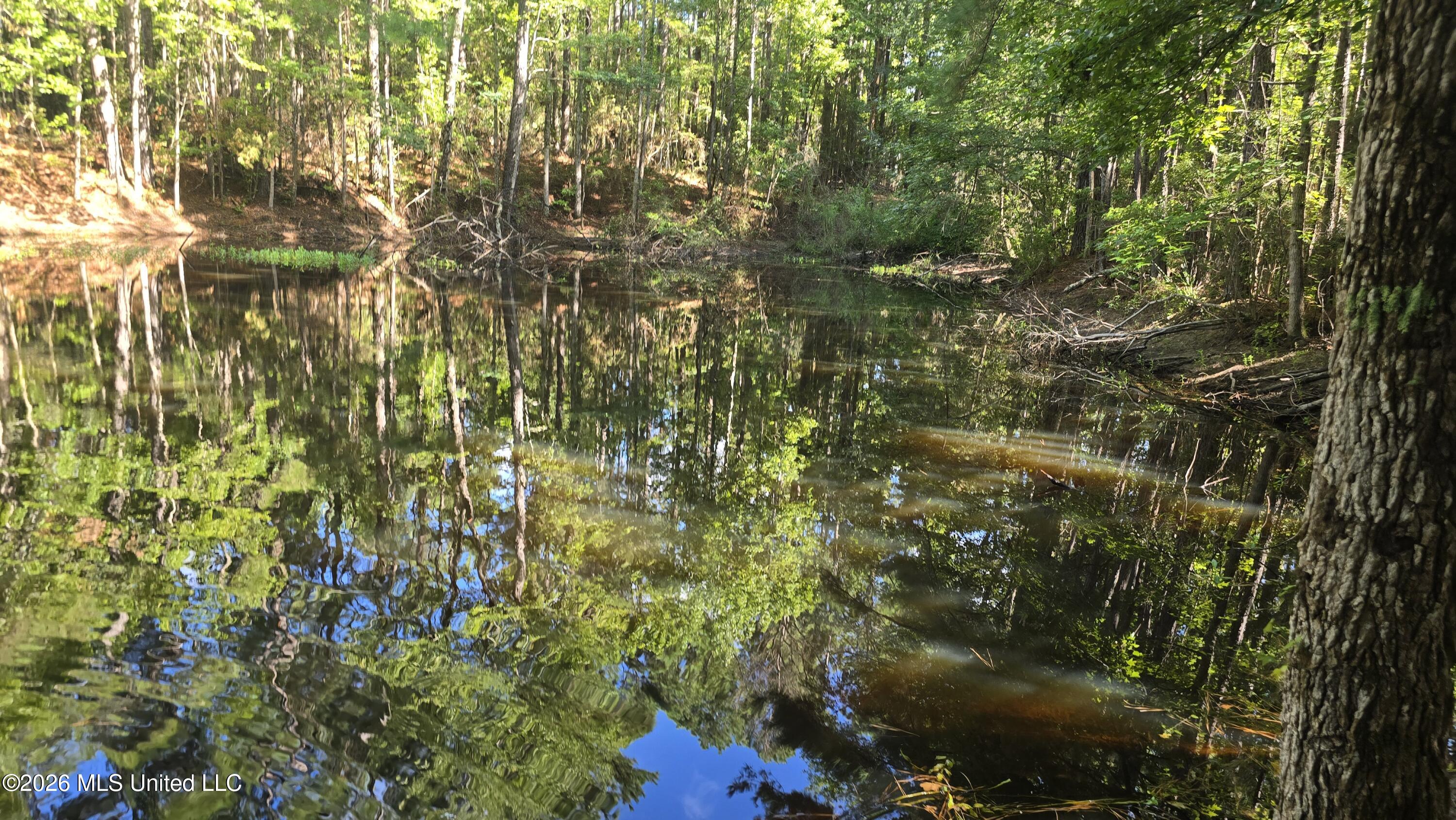 3190 Northeast Quentin Tower Road McCall Creek, MS 39647 - Photo 30 of 33 20260811_100921