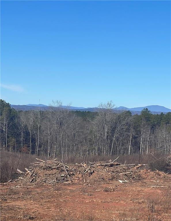 556 Poplar Springs Road Walhalla, SC 29691 - Photo 4 of 16