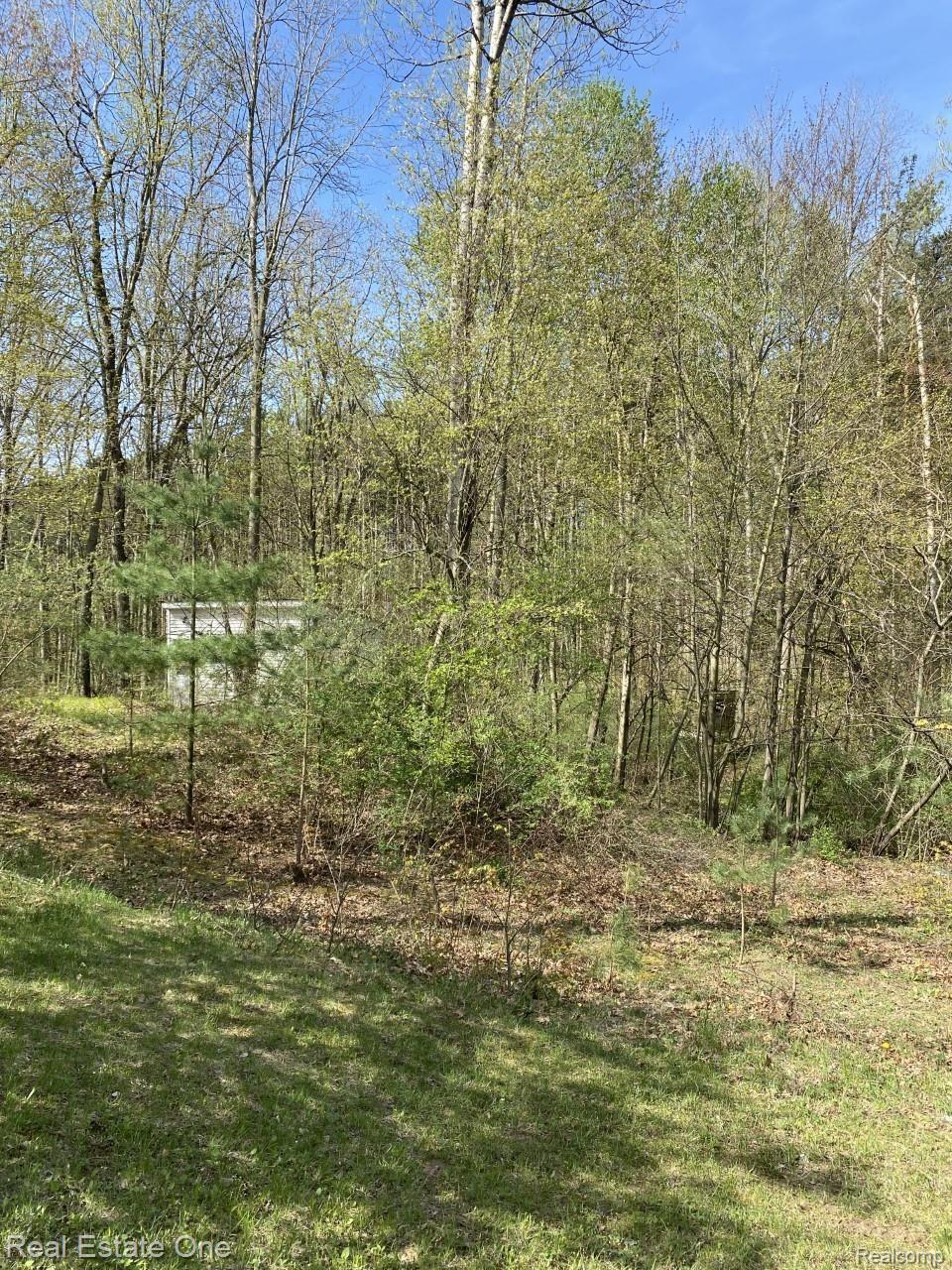 3147 Roods Lake Road Lapeer, MI 48446 - Photo 9 of 66 To out building.jpg