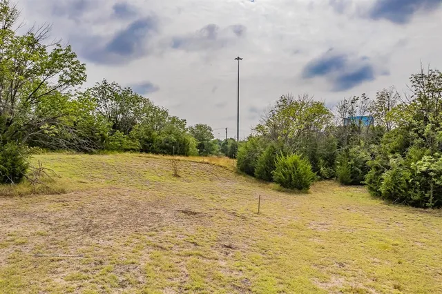 a view of yard covered with trees