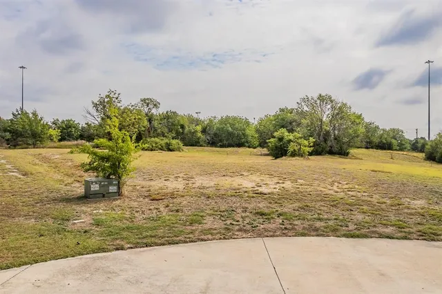 a view of a yard with an trees