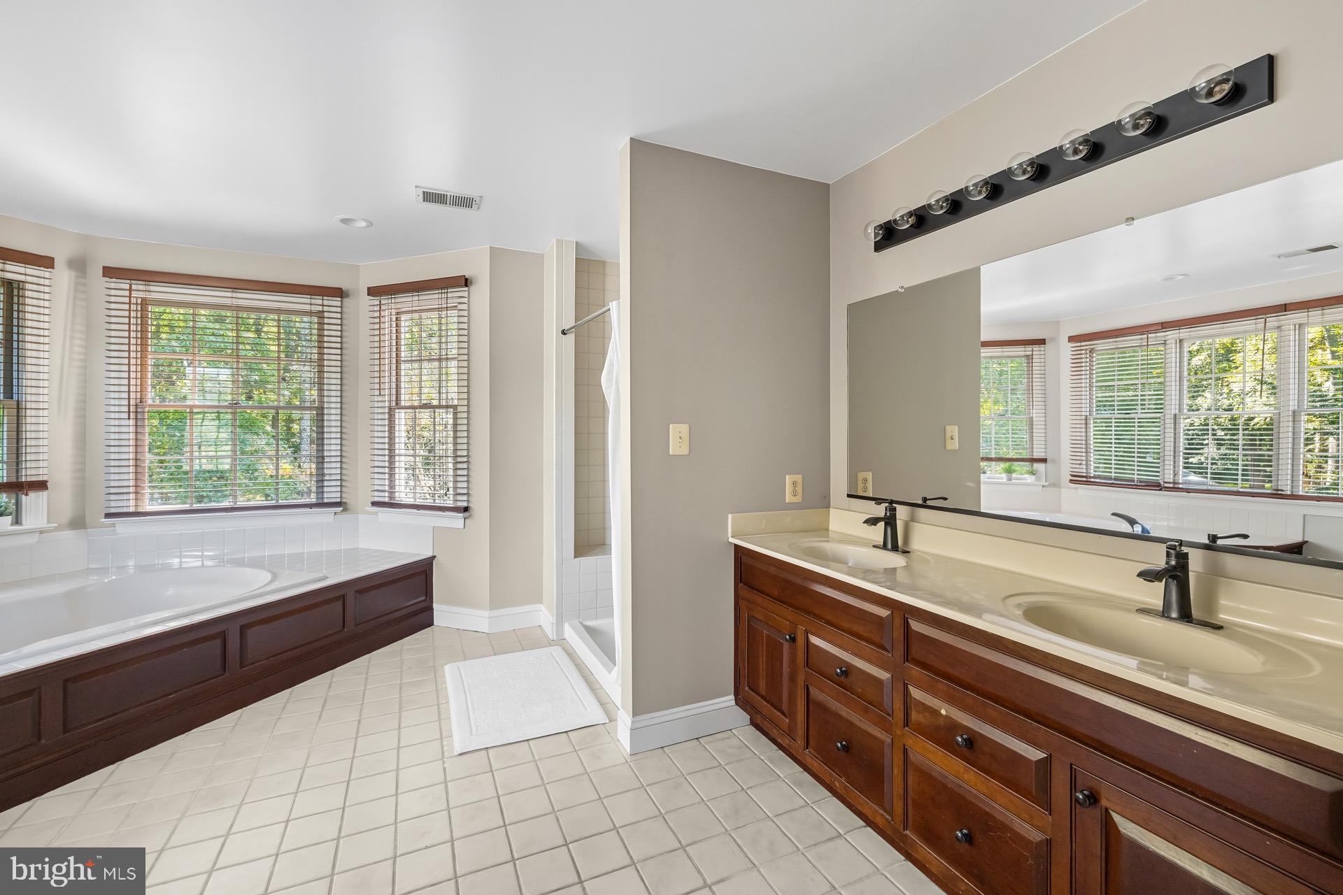 99 Hummingbird Court Dunkirk, MD 20754 - Photo 52 of 82 a spacious bathroom with a double vanity sink a large mirror and bathtub