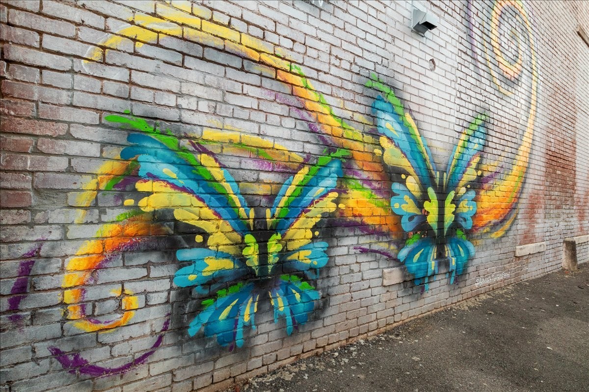 1849 Humphreys Co Line Road Dickson, TN 37055 - Photo 26 of 36 a picture of street view