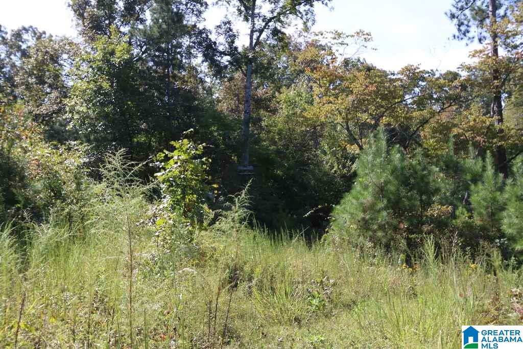 Sprayberry Road, Unit 103 Cropwell, AL 35054 - Photo 25 of 48
