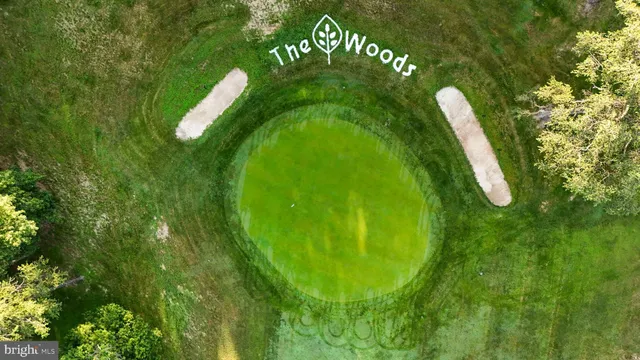 a view of a plant in a garden