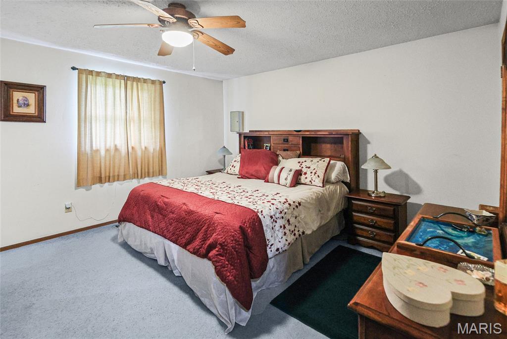 12941 Daiber Road Highland, IL 62249 - Photo 22 of 31