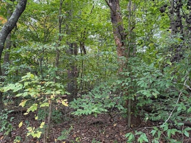 2 Fagin Road Madisonville, TN 37354 - Photo 5 of 15 Gallery Image 5