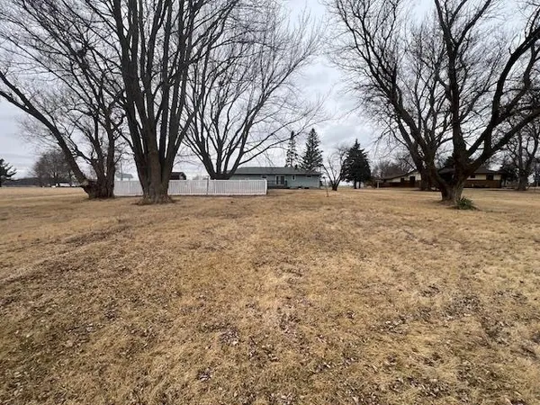 a tree is standing with yard