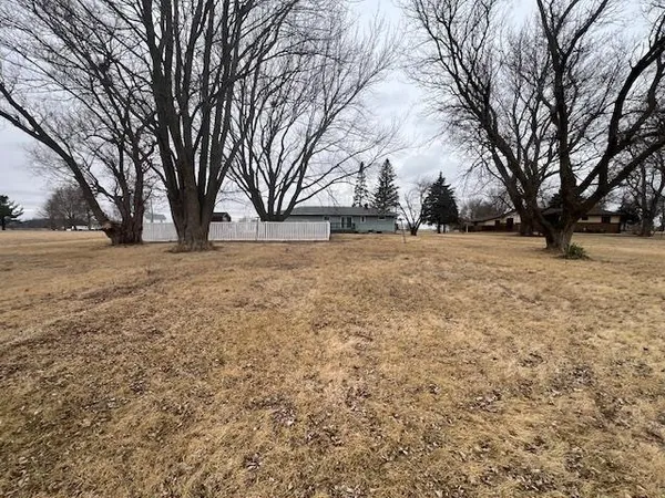a view of a yard with large trees