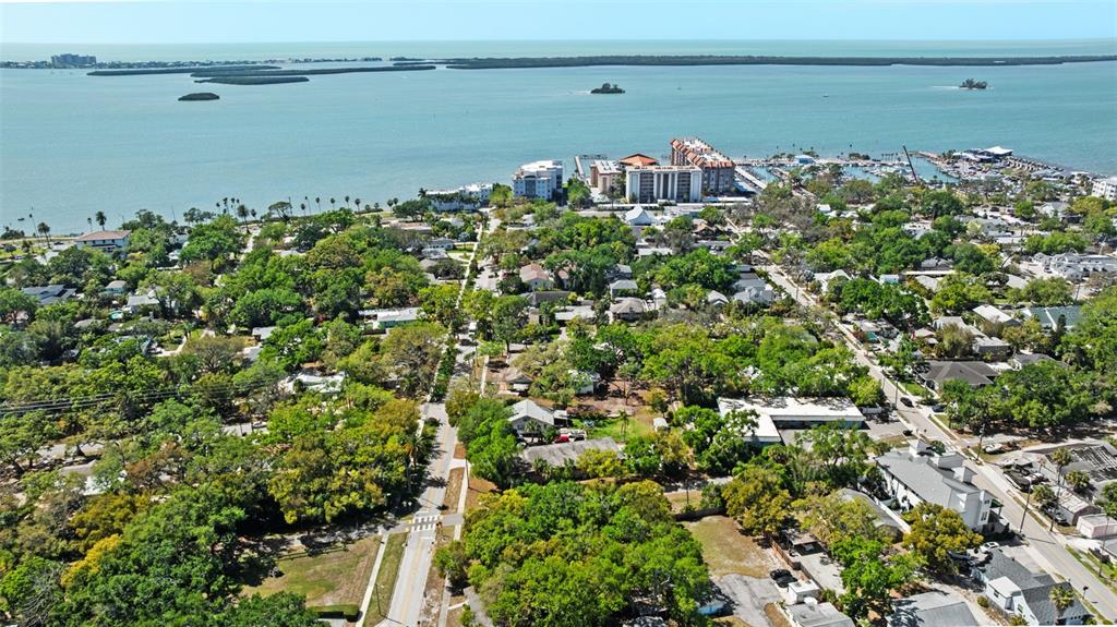 300 President Street Dunedin, FL 34698 - Photo 53 of 53 a view of a bunch of trees in front of house