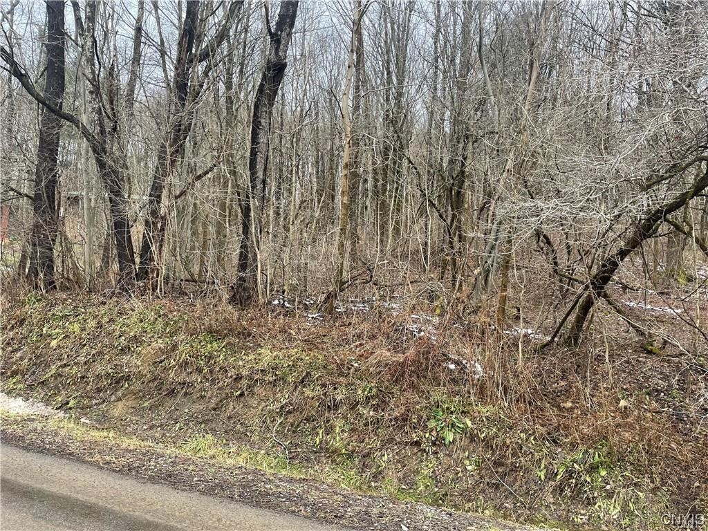 0 Gardner Road Fabius, NY 13063 - Photo 1 of 1