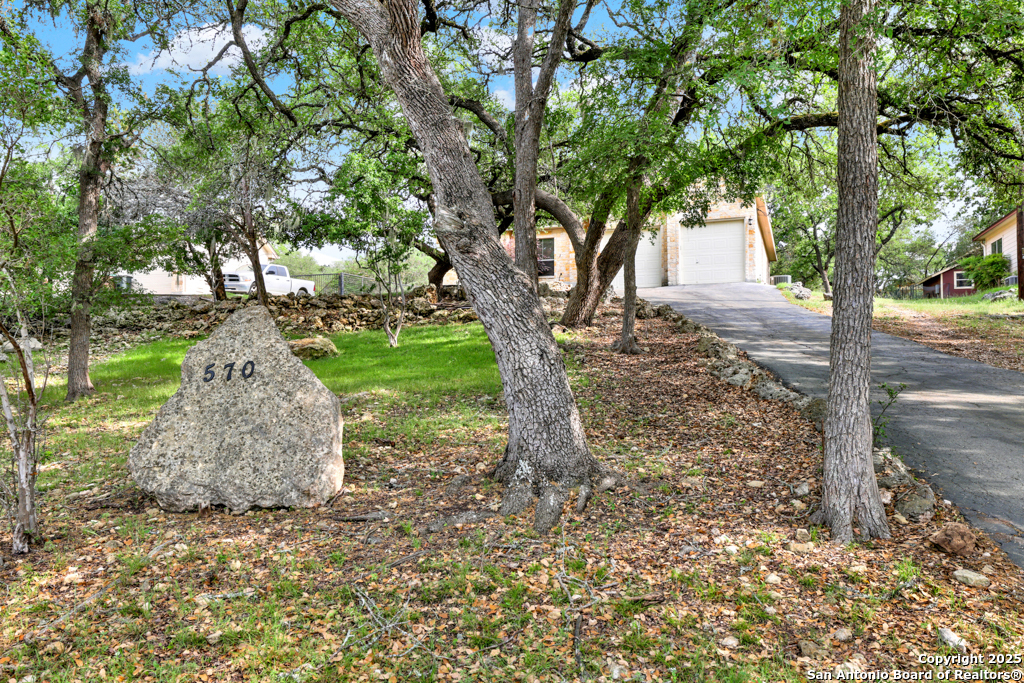 570 Cypress Pass Road Spring Branch, TX 78070 - Photo 2 of 45