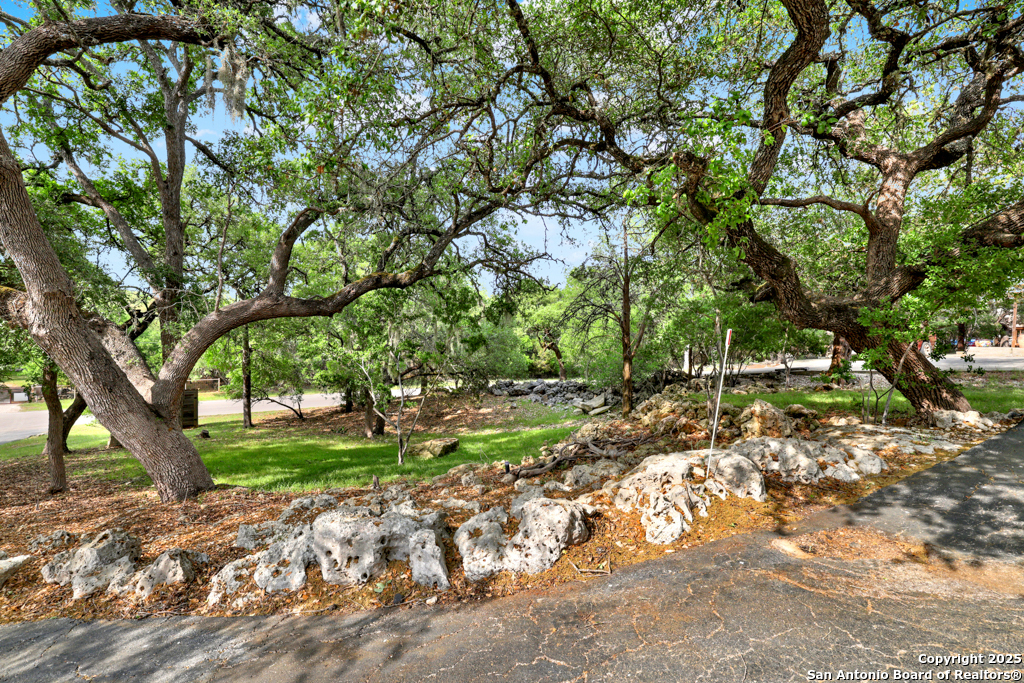 570 Cypress Pass Road Spring Branch, TX 78070 - Photo 4 of 45