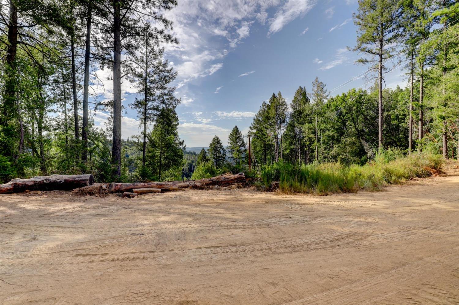 19455 Hogback Road Nevada City, CA 95959 - Photo 12 of 87 a view of a road with trees in front of it