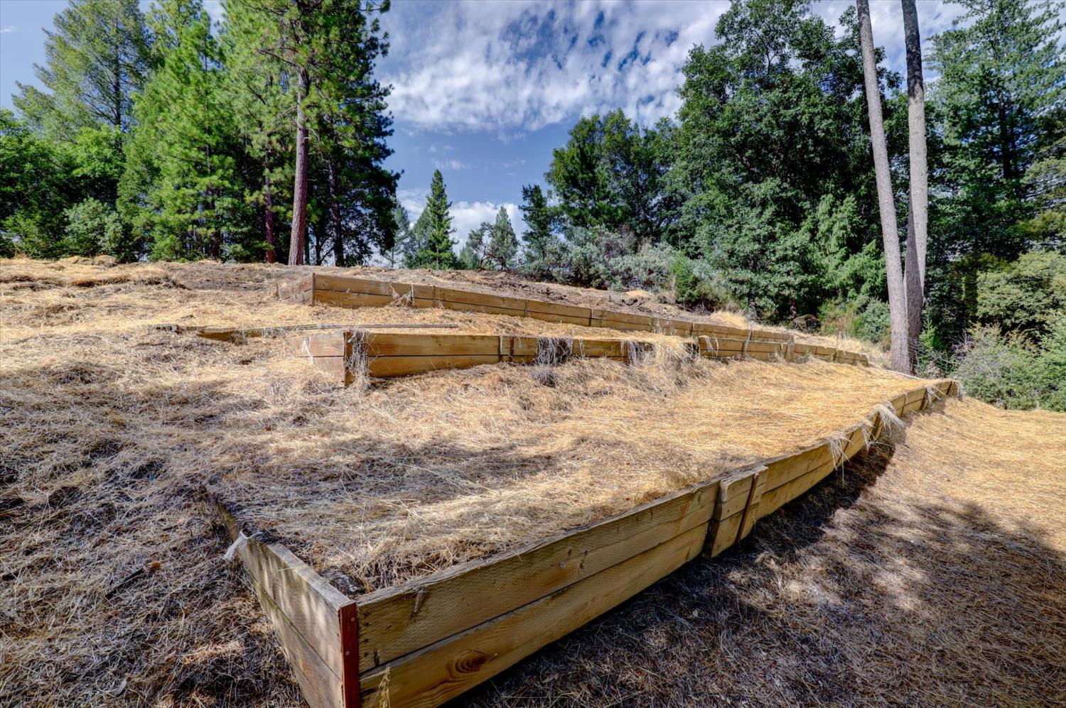 19455 Hogback Road Nevada City, CA 95959 - Photo 19 of 87 a view of a backyard with large trees