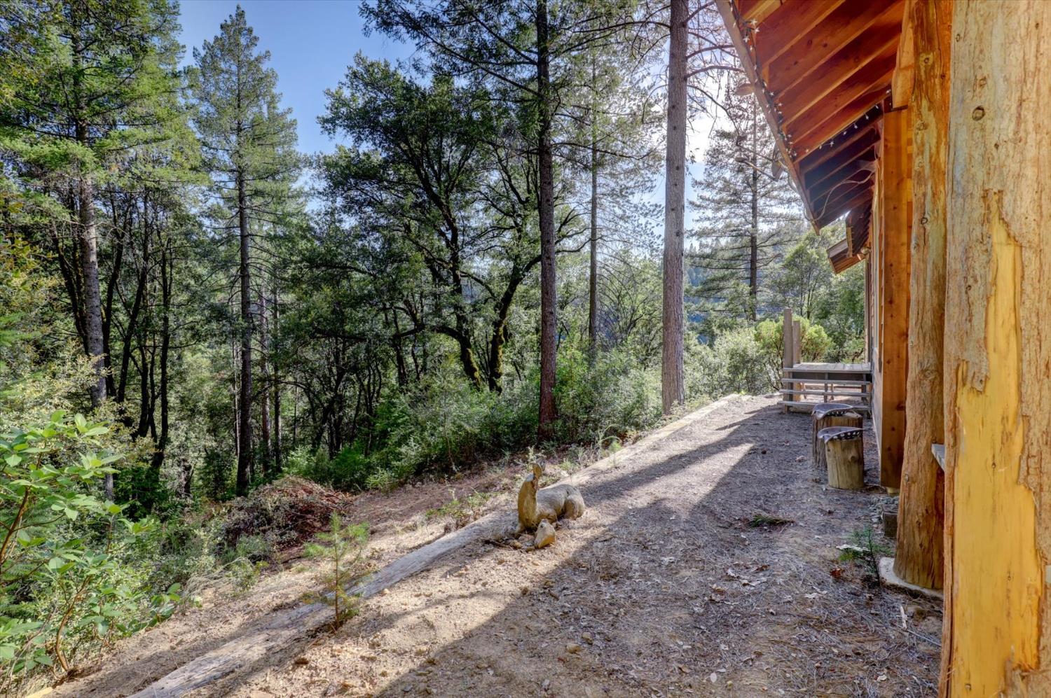 19455 Hogback Road Nevada City, CA 95959 - Photo 27 of 87 a backyard of a house with lots of green space