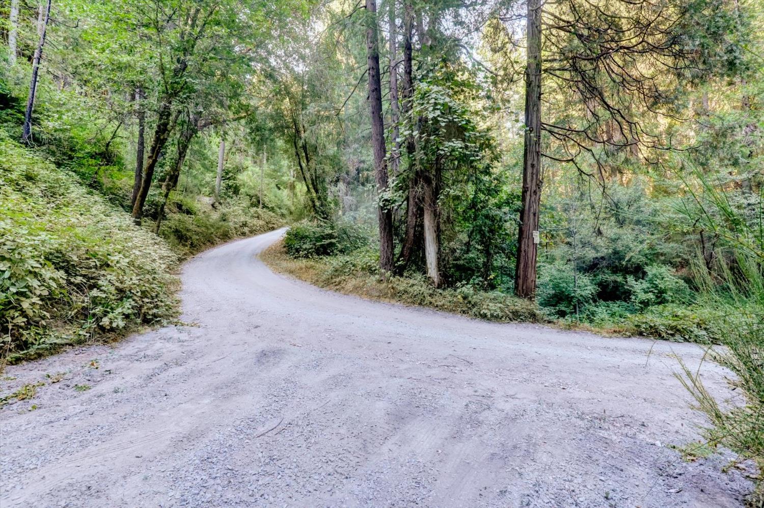 19455 Hogback Road Nevada City, CA 95959 - Photo 44 of 87 a view of a dirt road with large trees