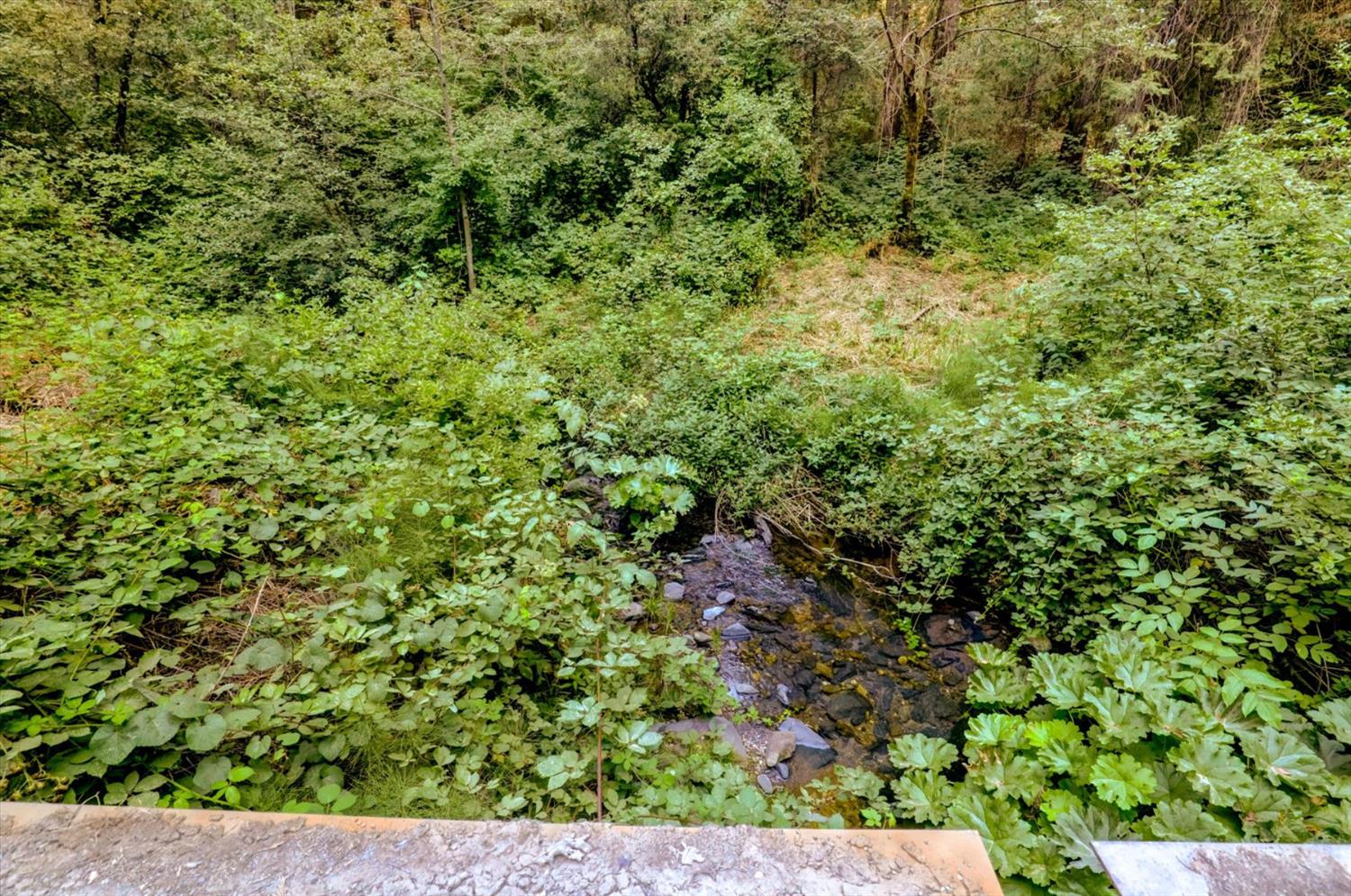 19455 Hogback Road Nevada City, CA 95959 - Photo 47 of 87