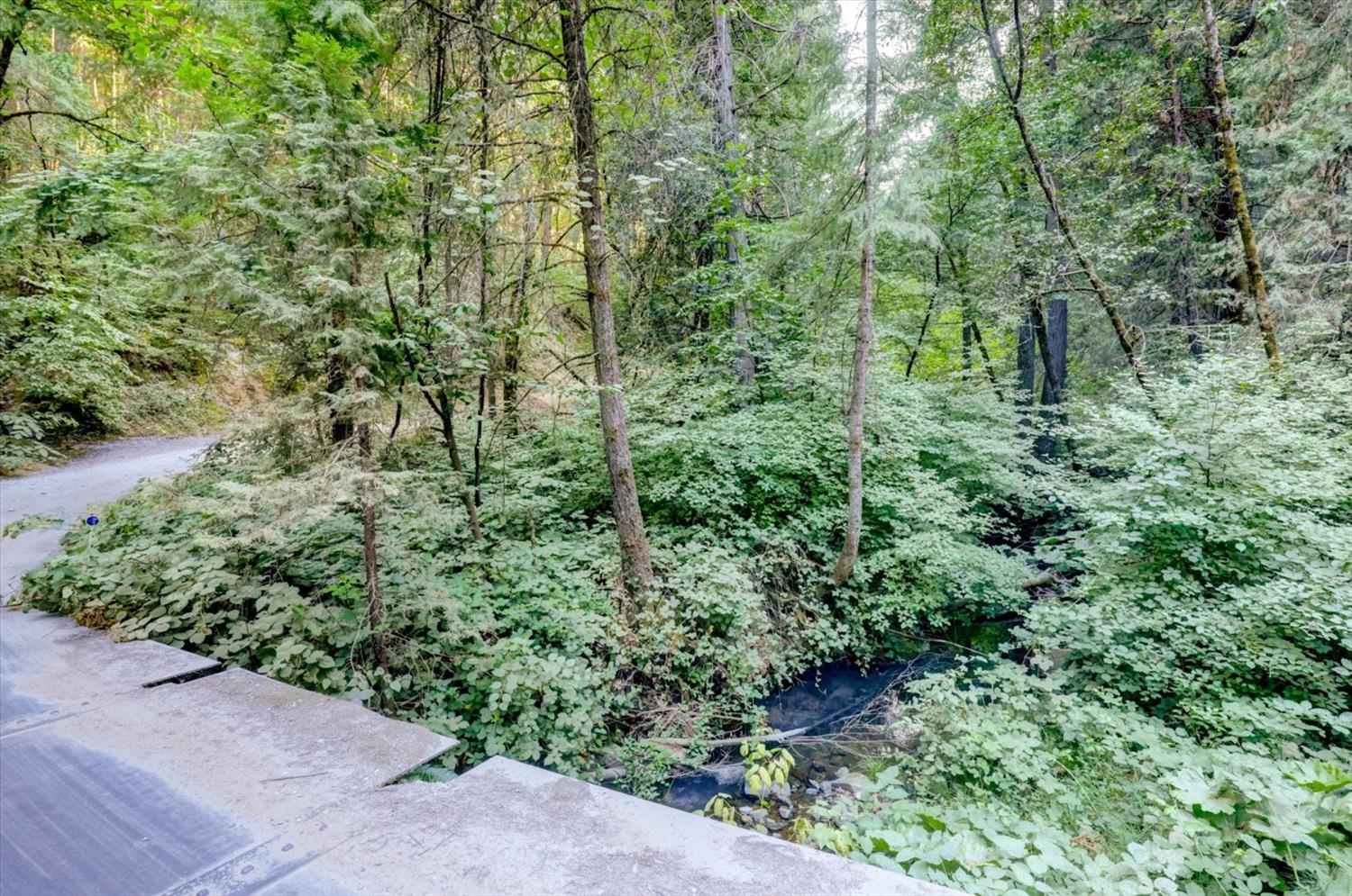 19455 Hogback Road Nevada City, CA 95959 - Photo 48 of 87