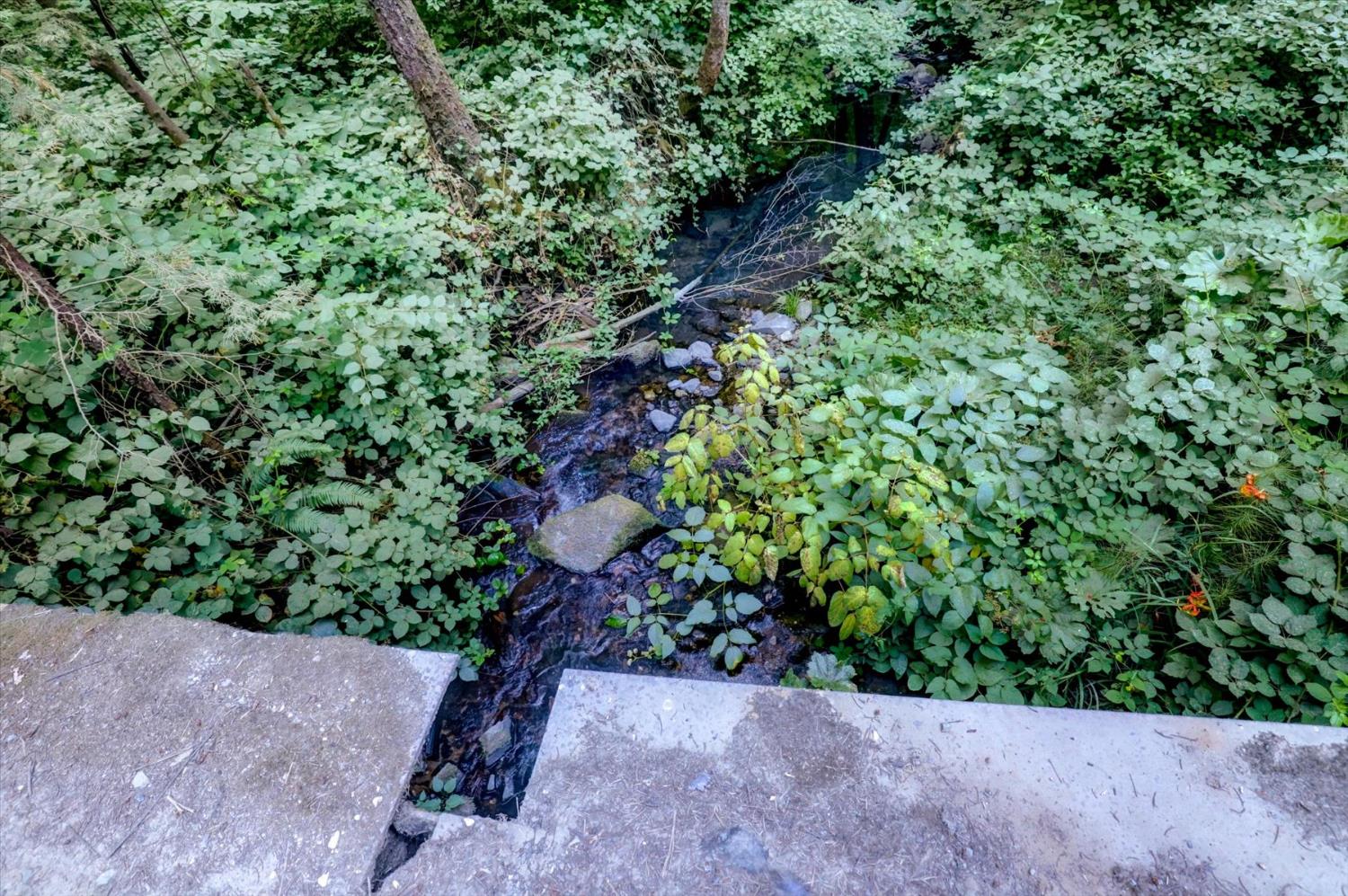 19455 Hogback Road Nevada City, CA 95959 - Photo 50 of 87 a view of a garden with plants